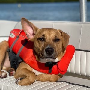 Meet your Posher, Kari